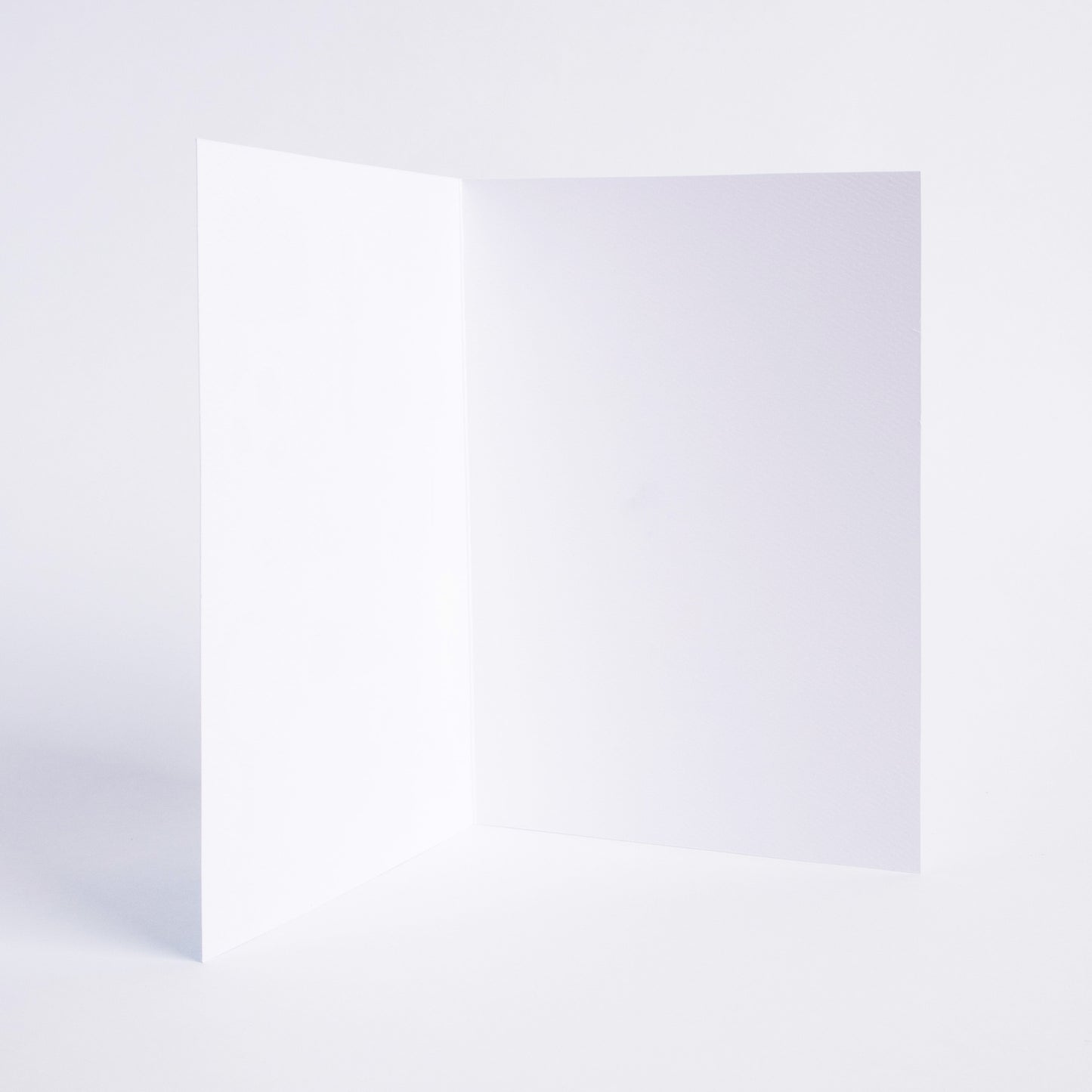 Tarjetas Basics