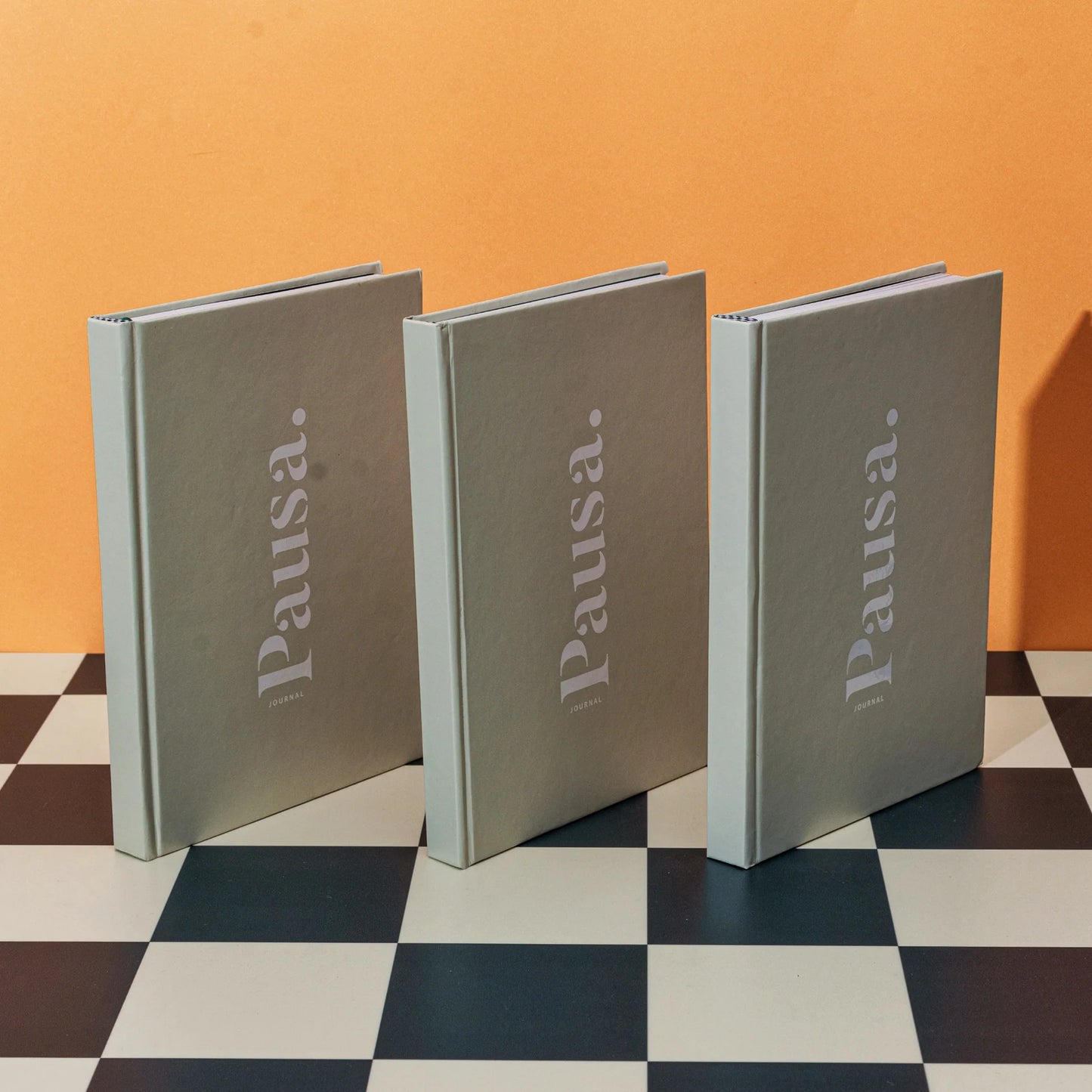 Journal - Pausa
