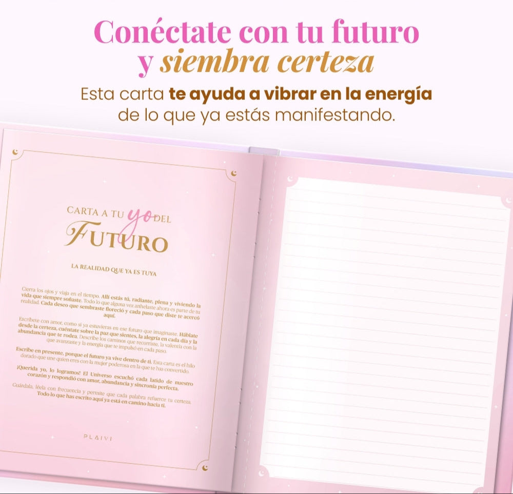 Diario de Manifestación