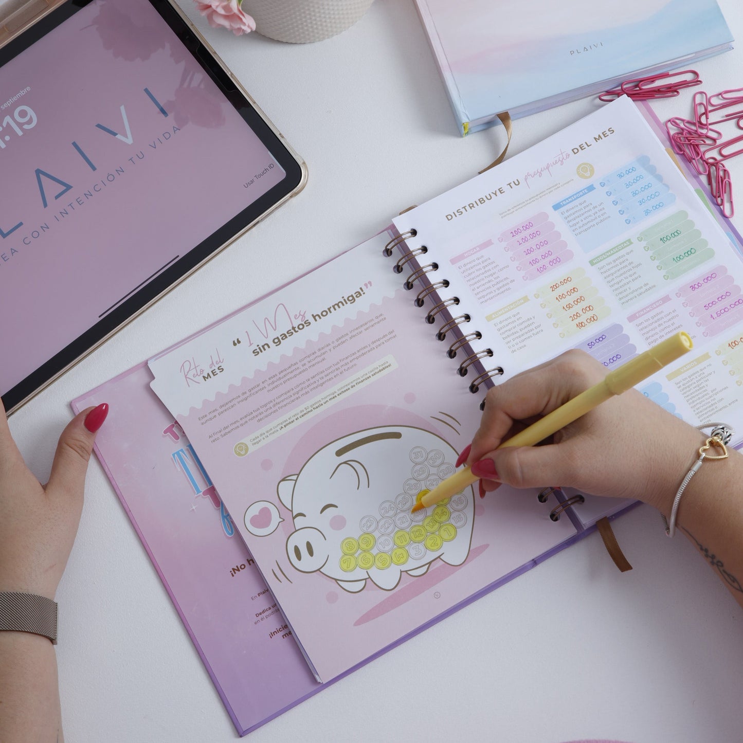 Planner de Finanzas Personales