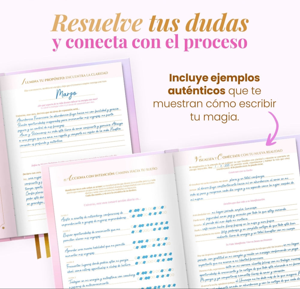 Diario de Manifestación