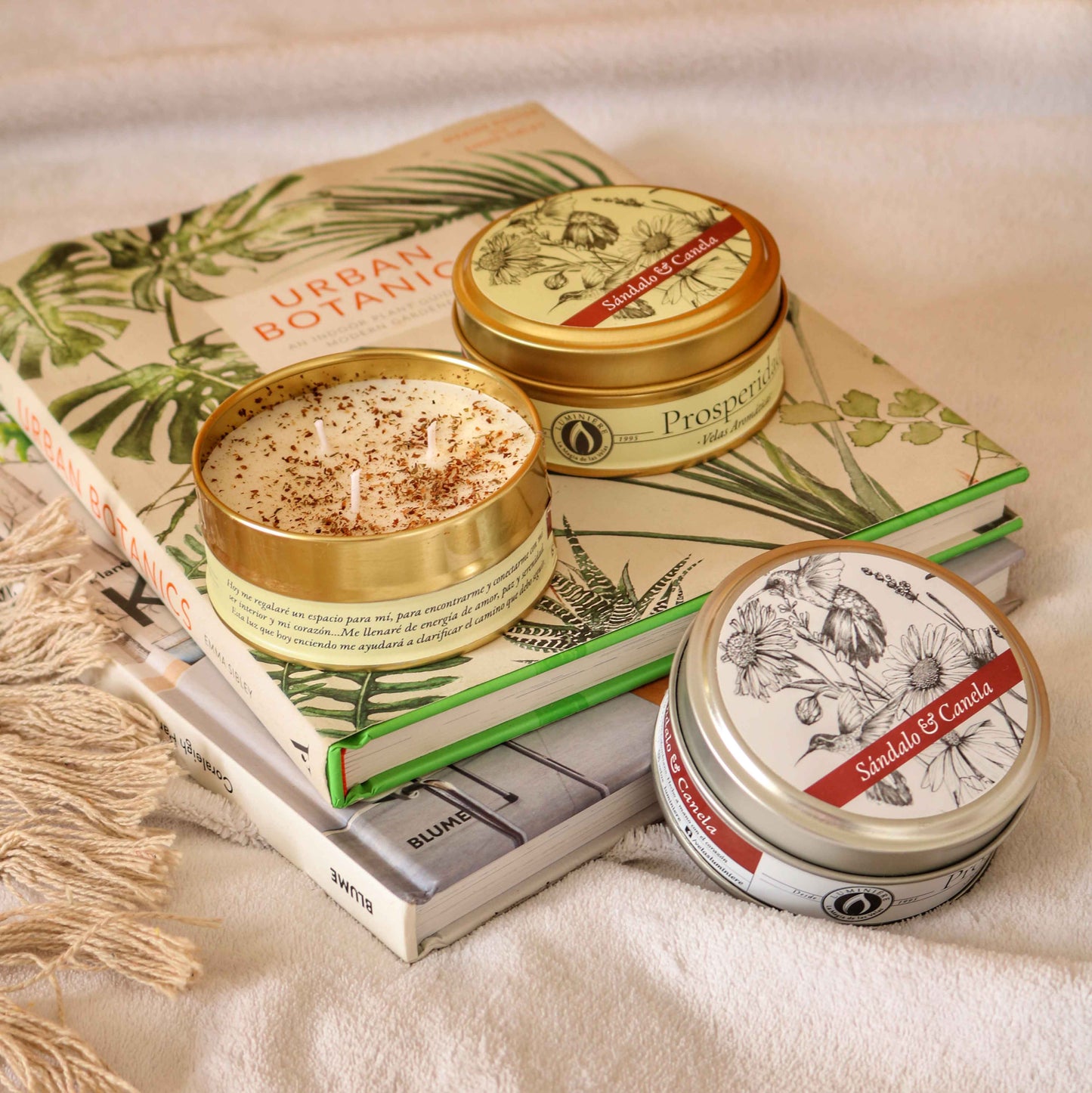 Lata Intenciones - Prosperidad