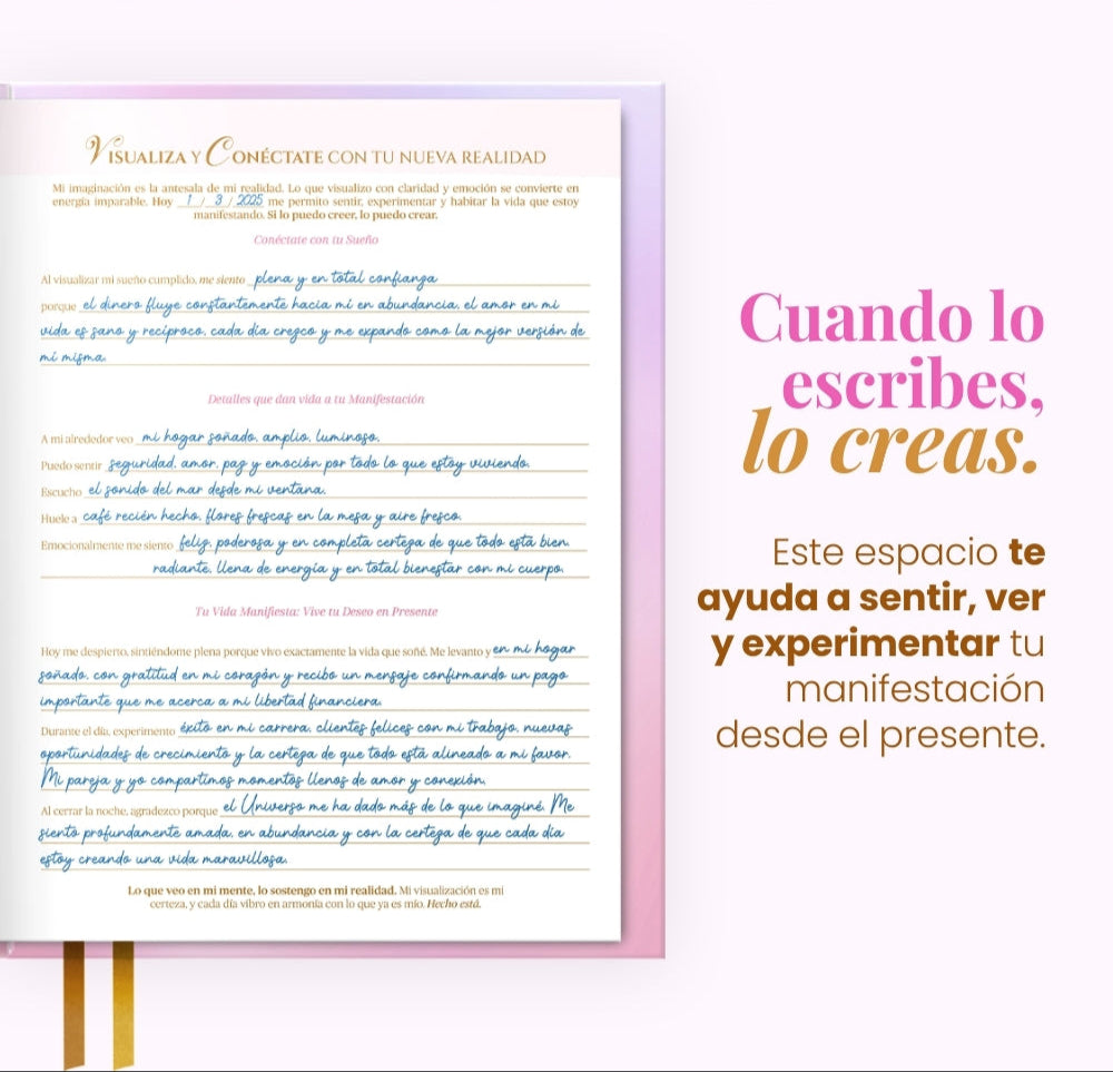 Diario de Manifestación