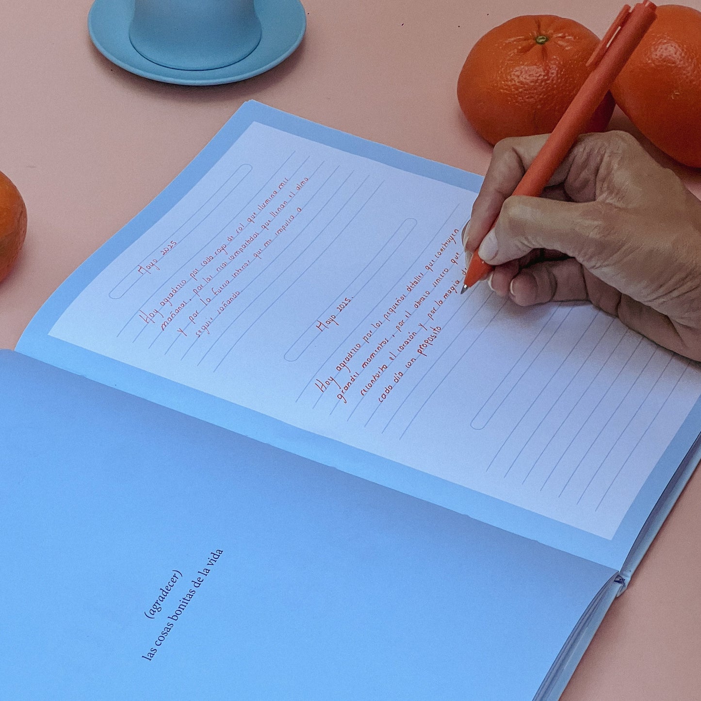 Journal De Gratitud