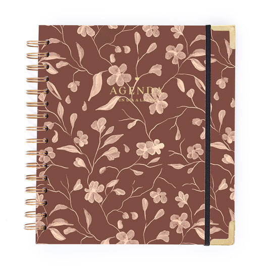 Agenda Semanal Terra