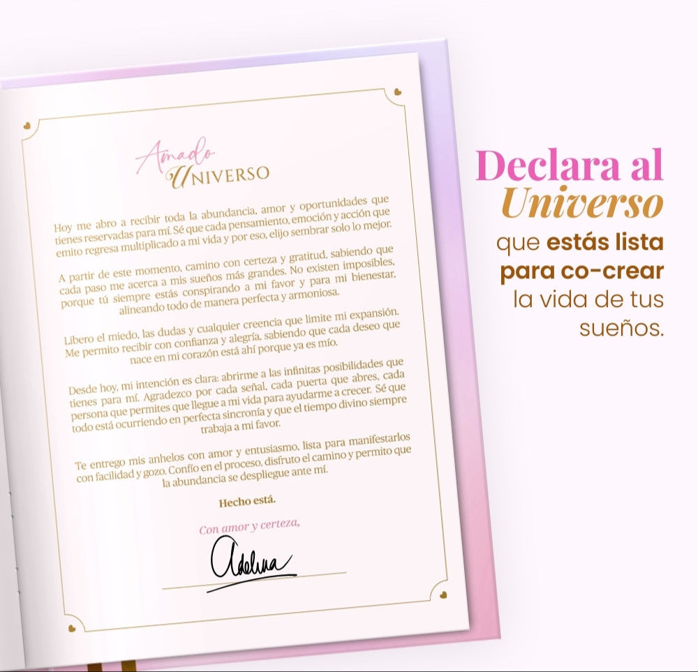 Diario de Manifestación