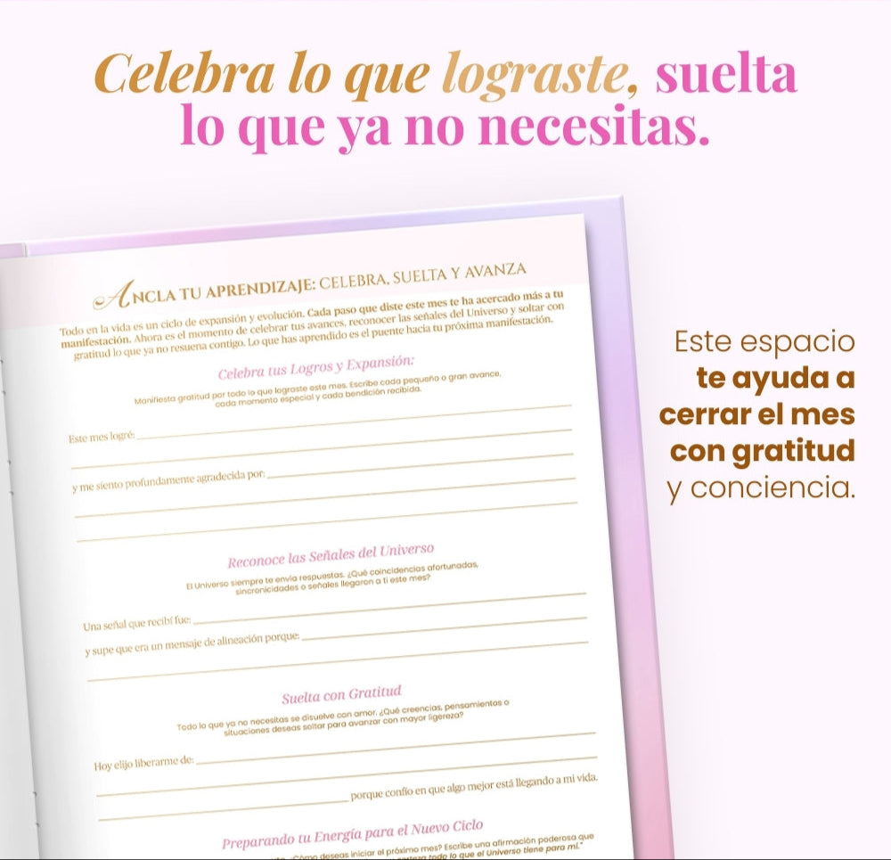 Diario de Manifestación