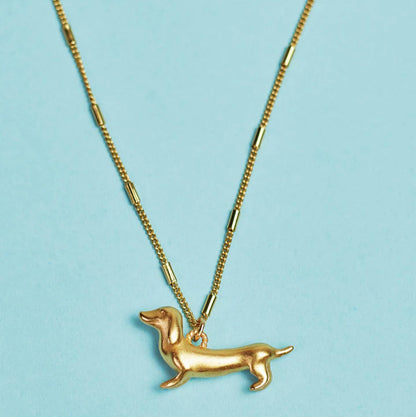 Collar Perro Salchicha
