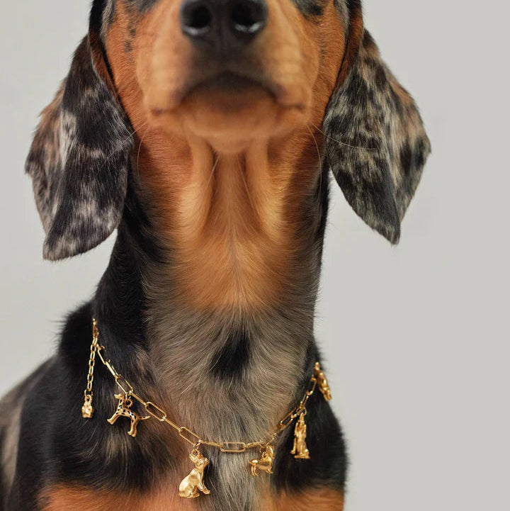 Collar de Charms + Topos Dog Mom