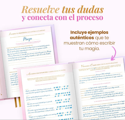 Diario de Manifestación