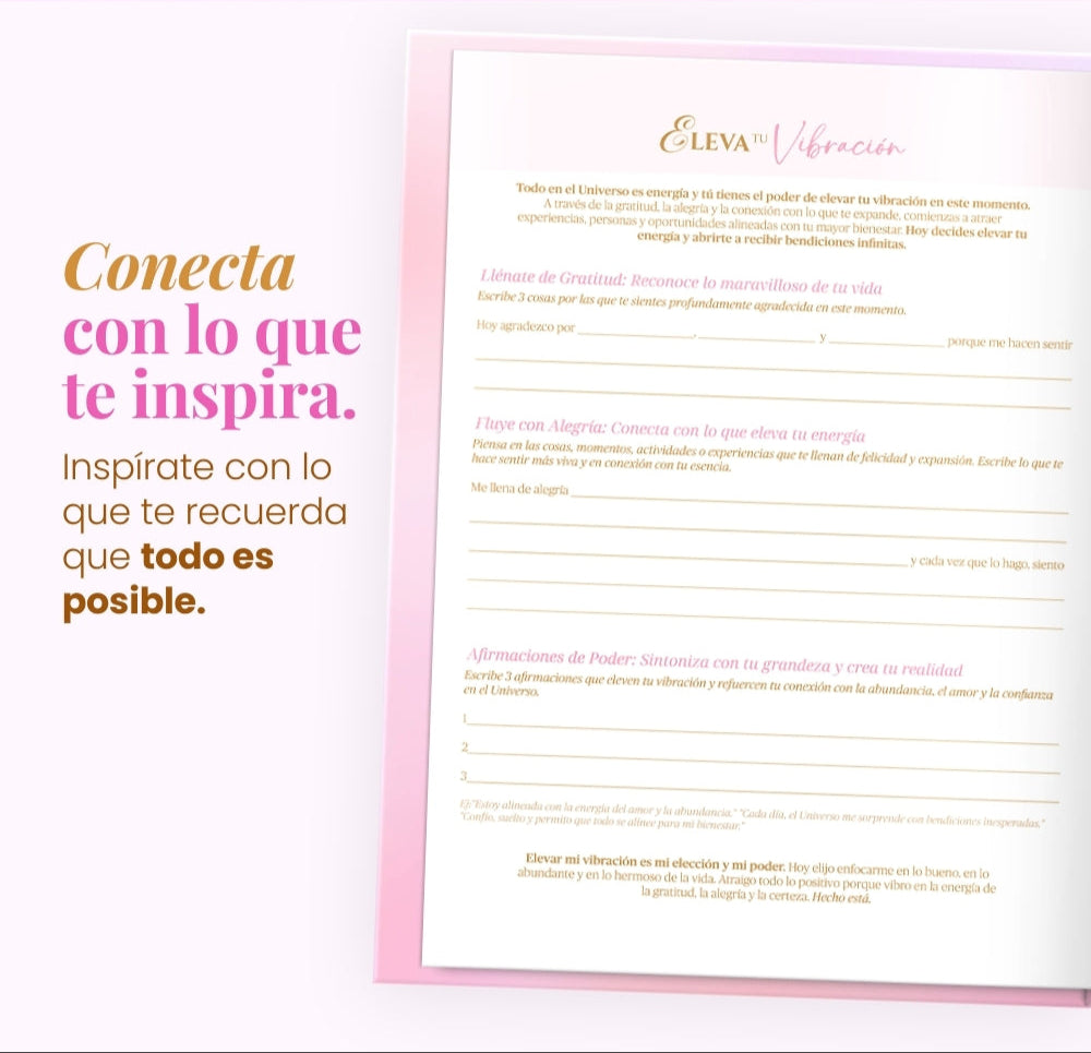 Diario de Manifestación