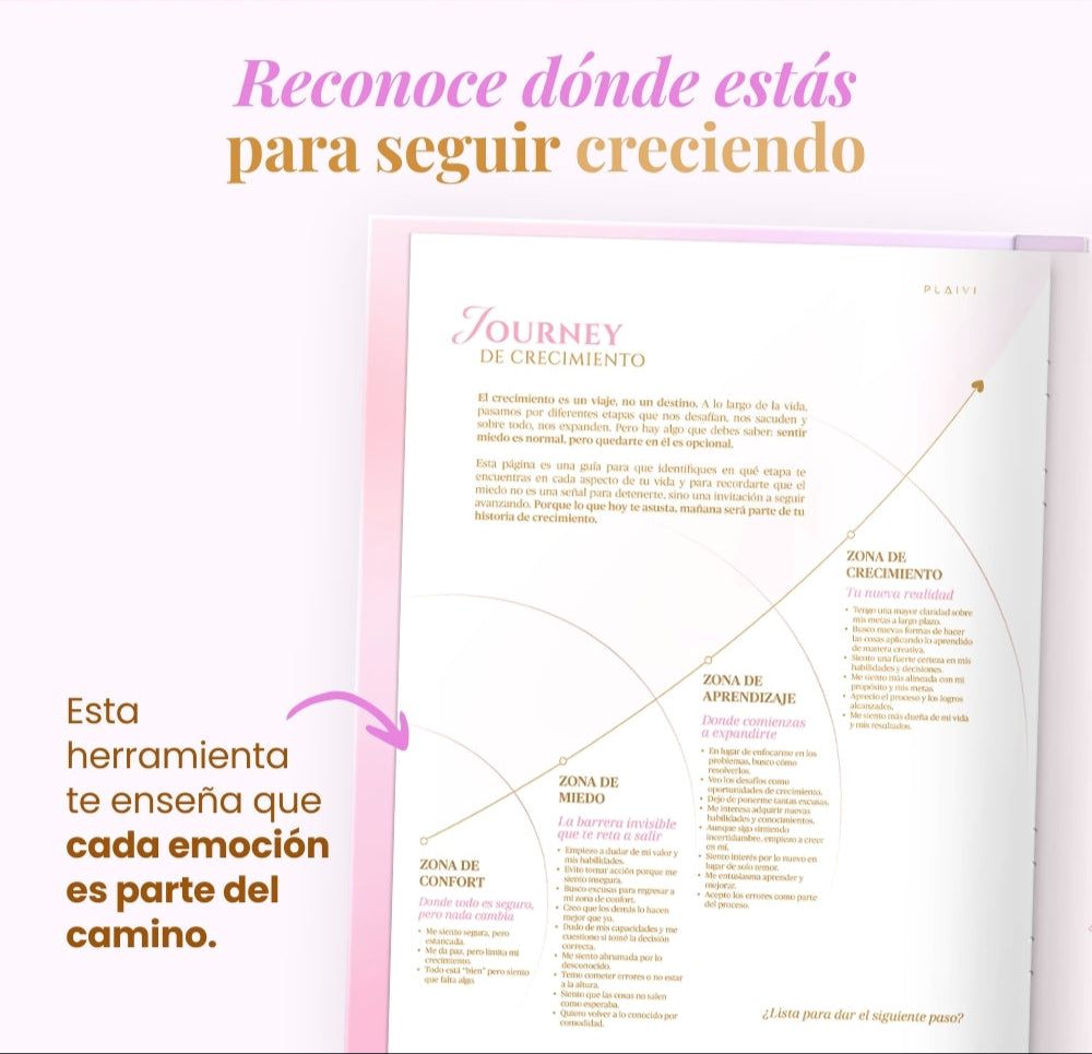 Diario de Manifestación