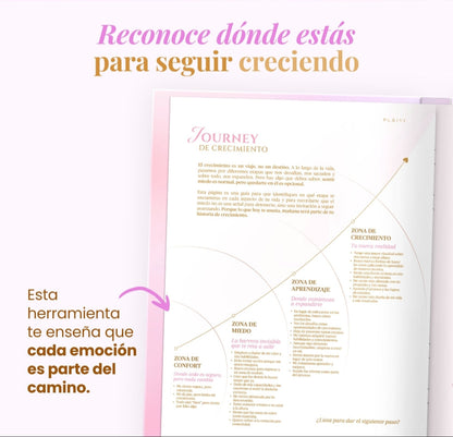 Diario de Manifestación