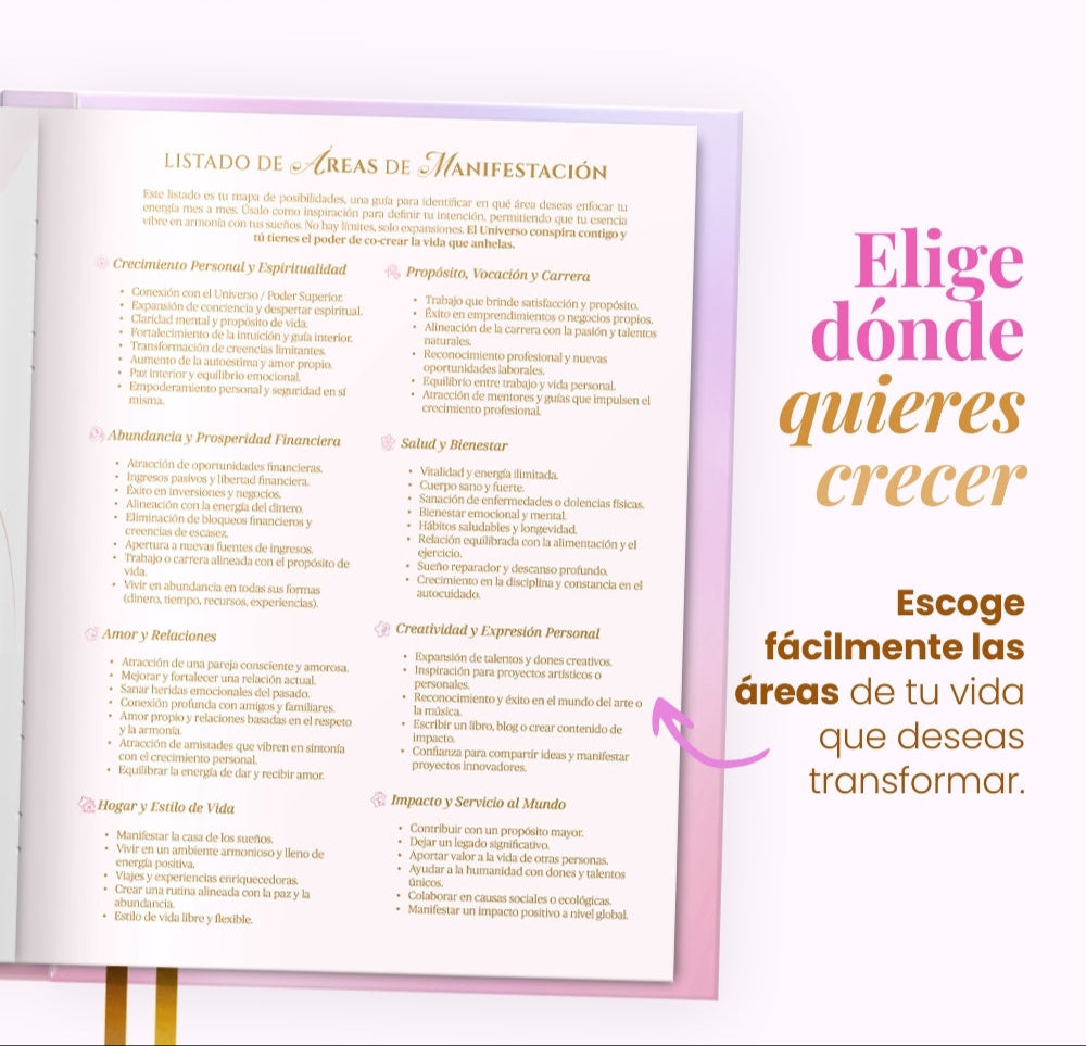 Diario de Manifestación