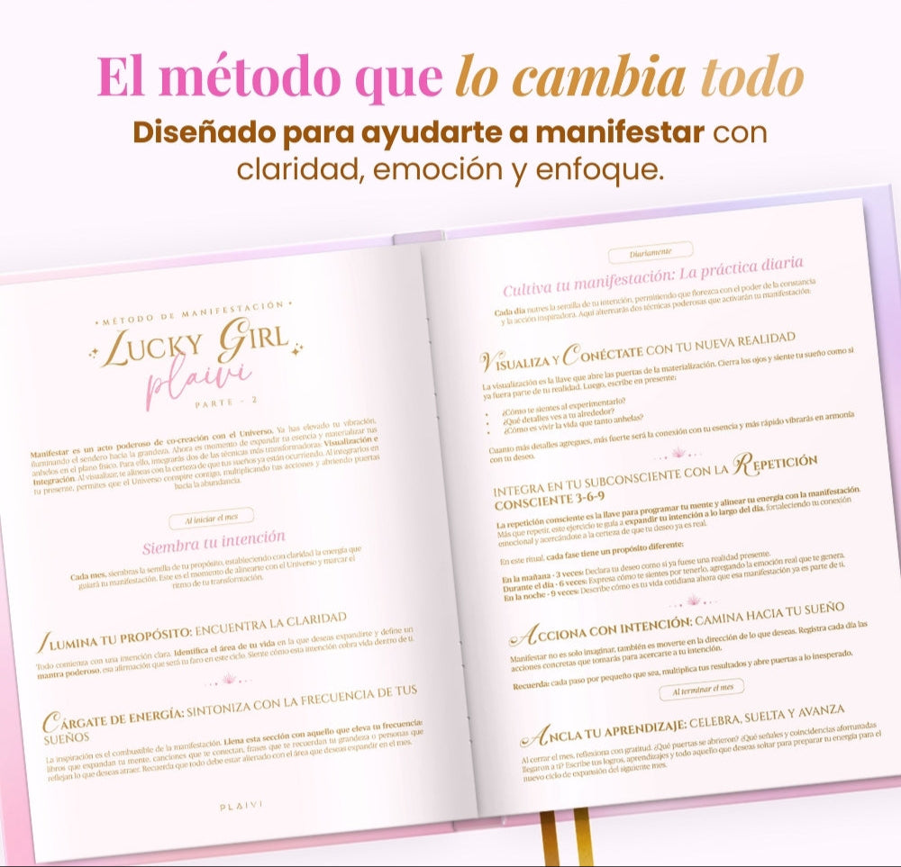 Diario de Manifestación