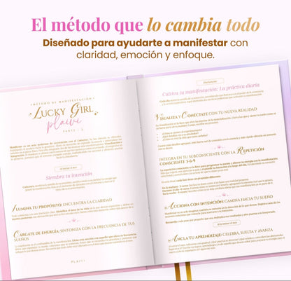 Diario de Manifestación