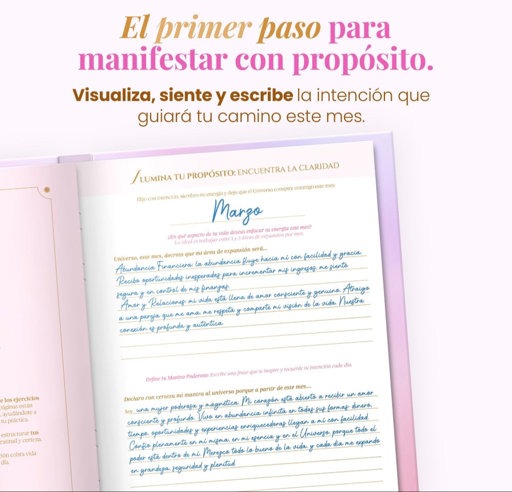 Diario de Manifestación