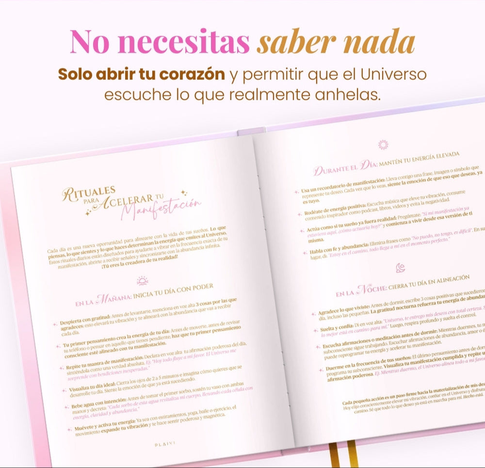 Diario de Manifestación