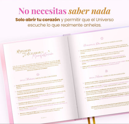 Diario de Manifestación