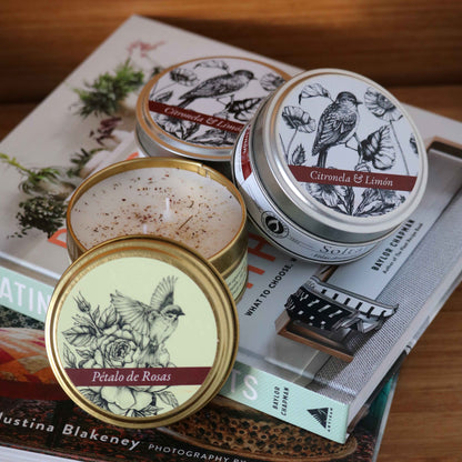 Lata Intenciones - Soltar