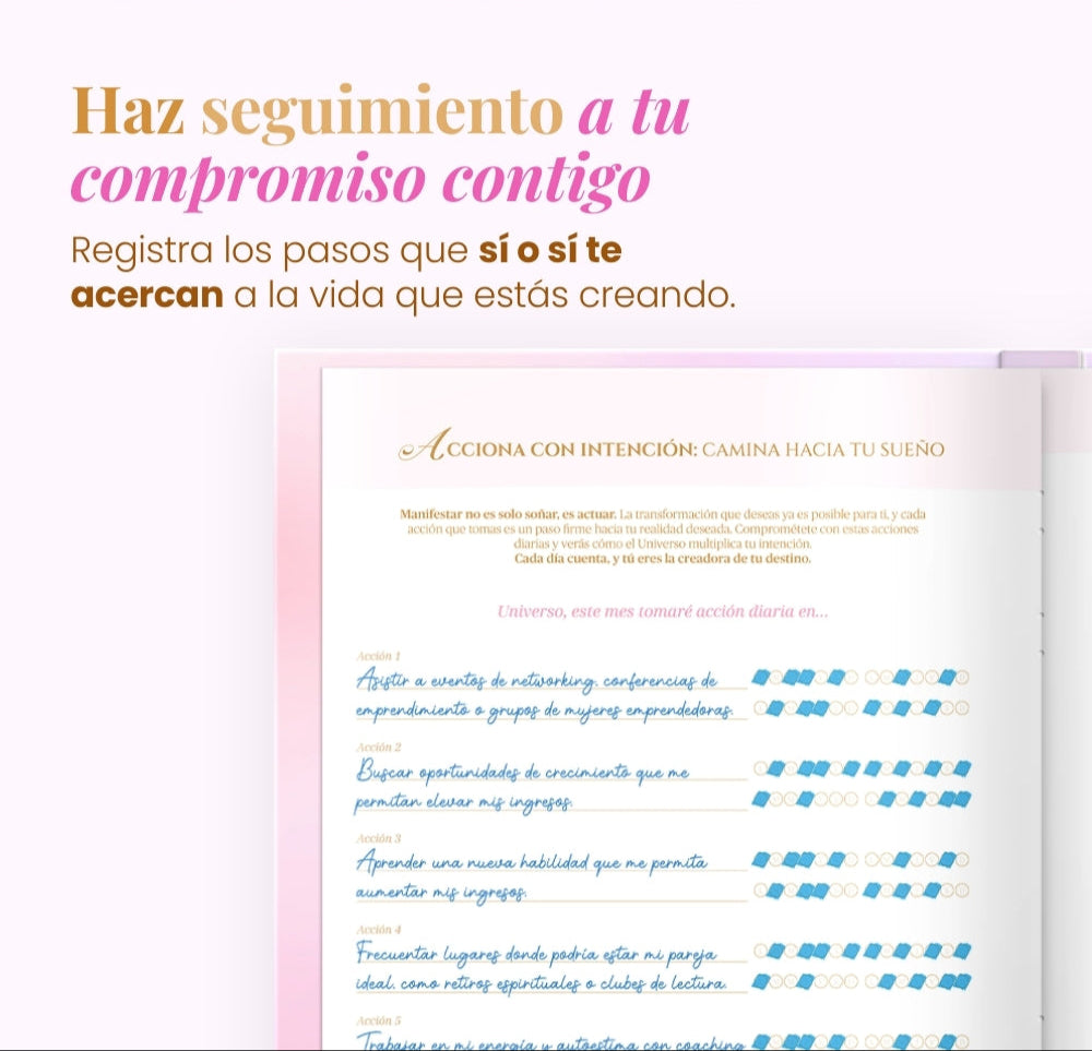 Diario de Manifestación