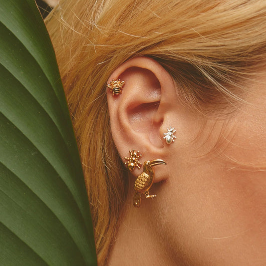 Set de 5 Aretes Botánico