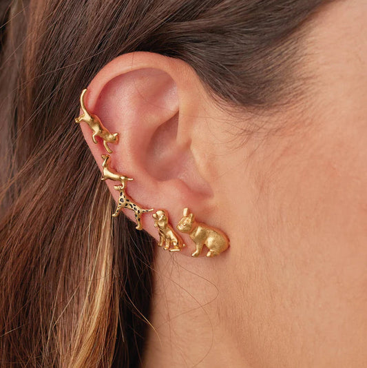 Set de 5 Aretes Oh My Dog