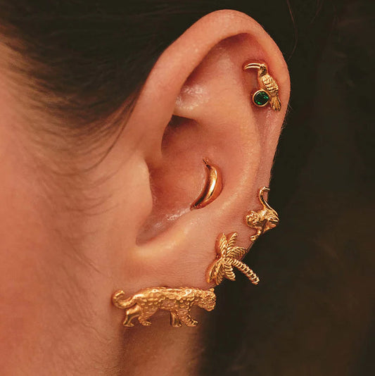 Set de 5 Aretes del Trópico